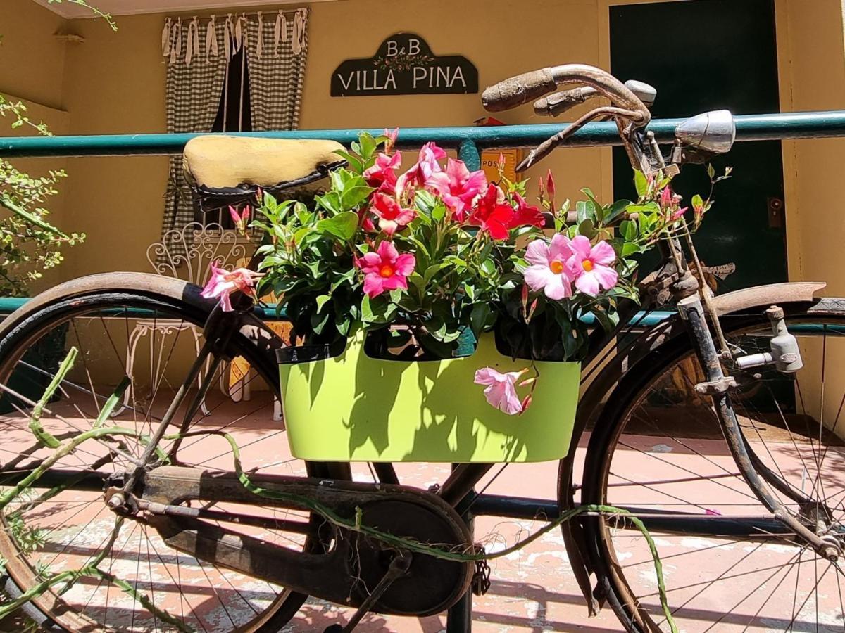 Hotel Pina