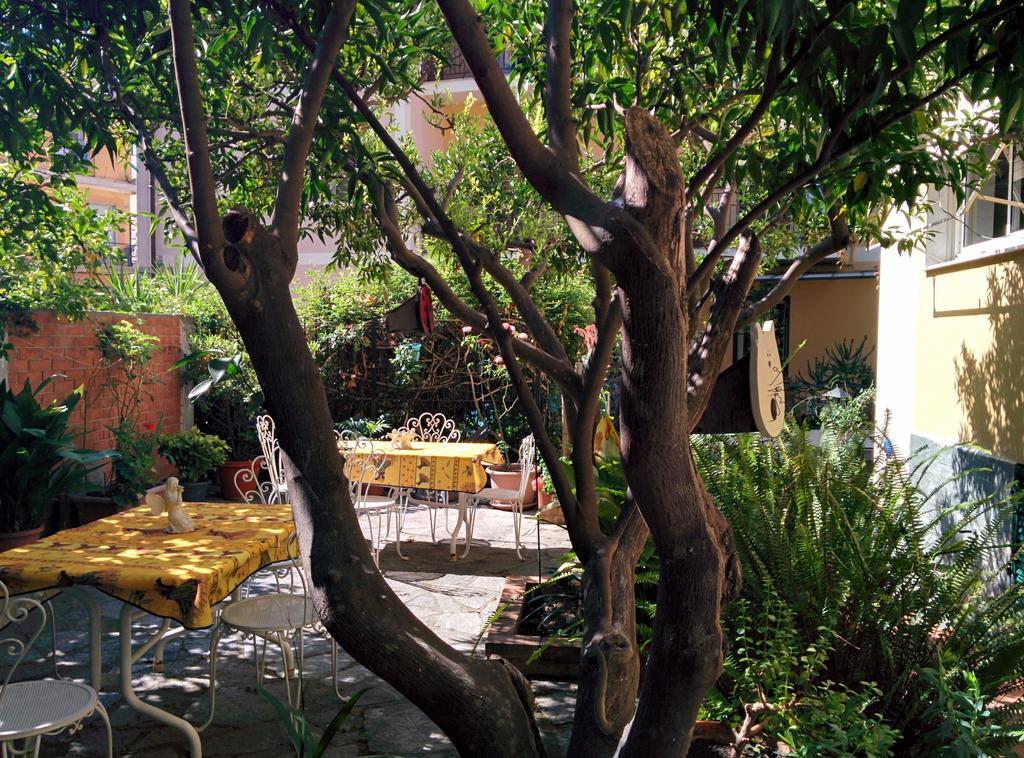 Hotel Pina 2*